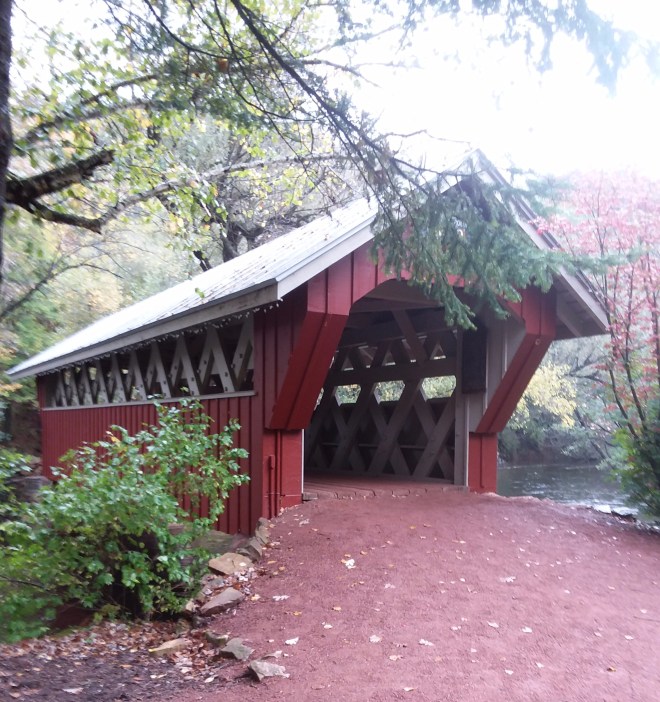 20171007_135548(0)_1690