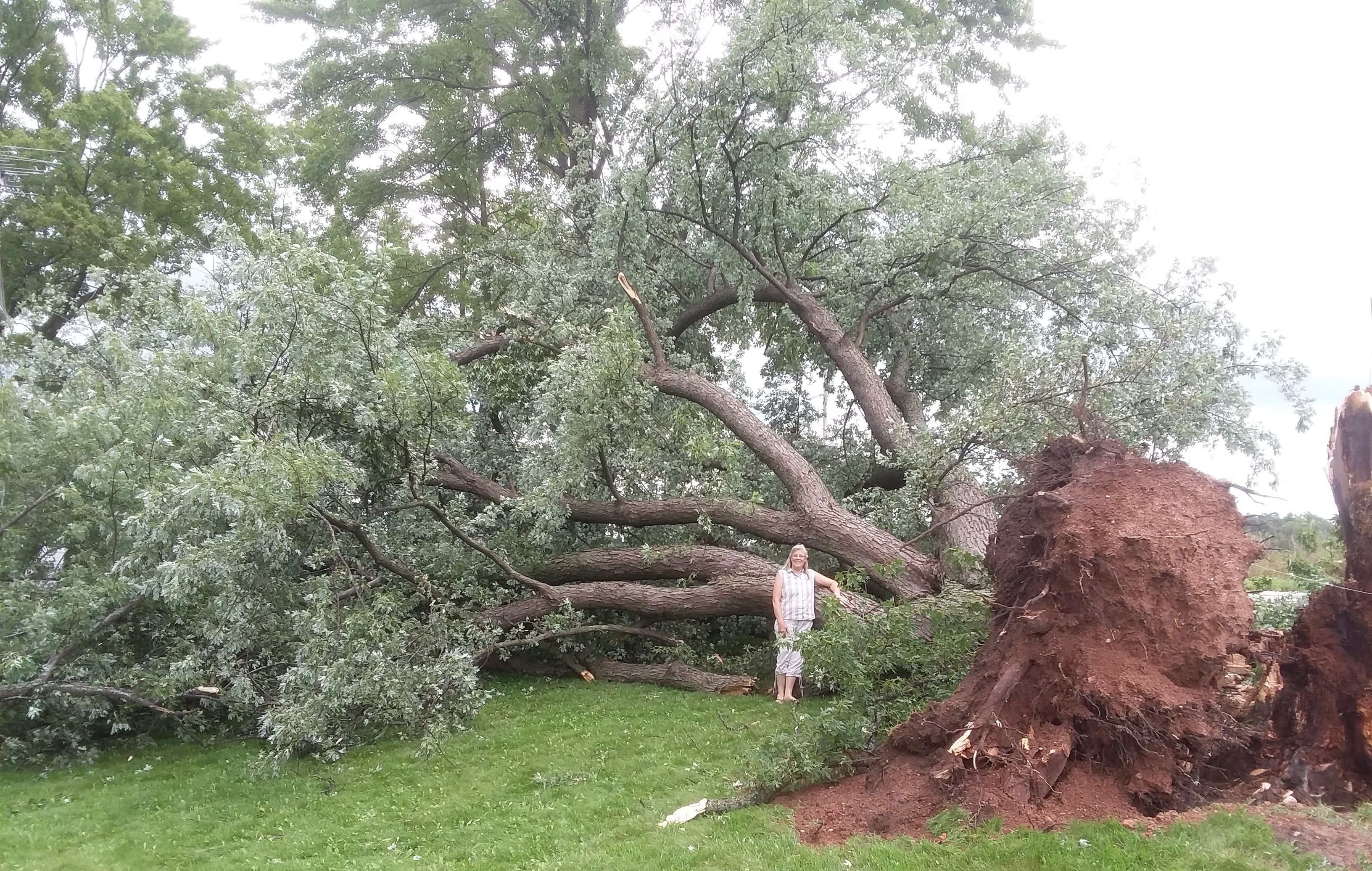 20180829_124838_2734