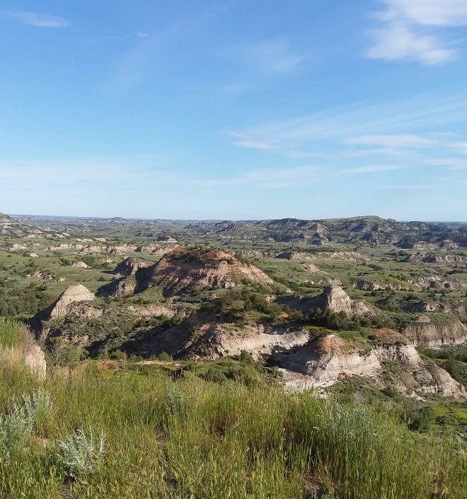 20190624_075629_3747