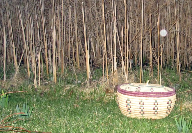 IMG_3146_4619_edited-1