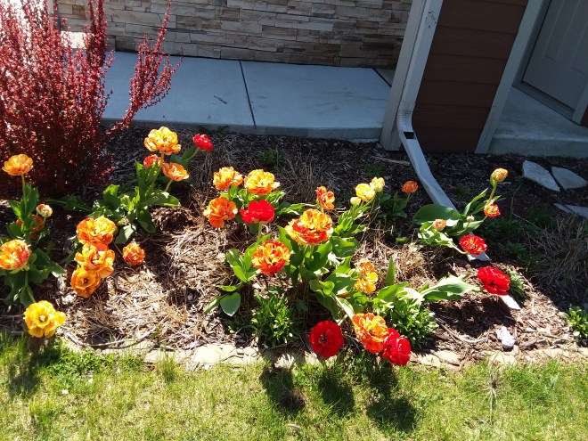 20200520_102341_4941