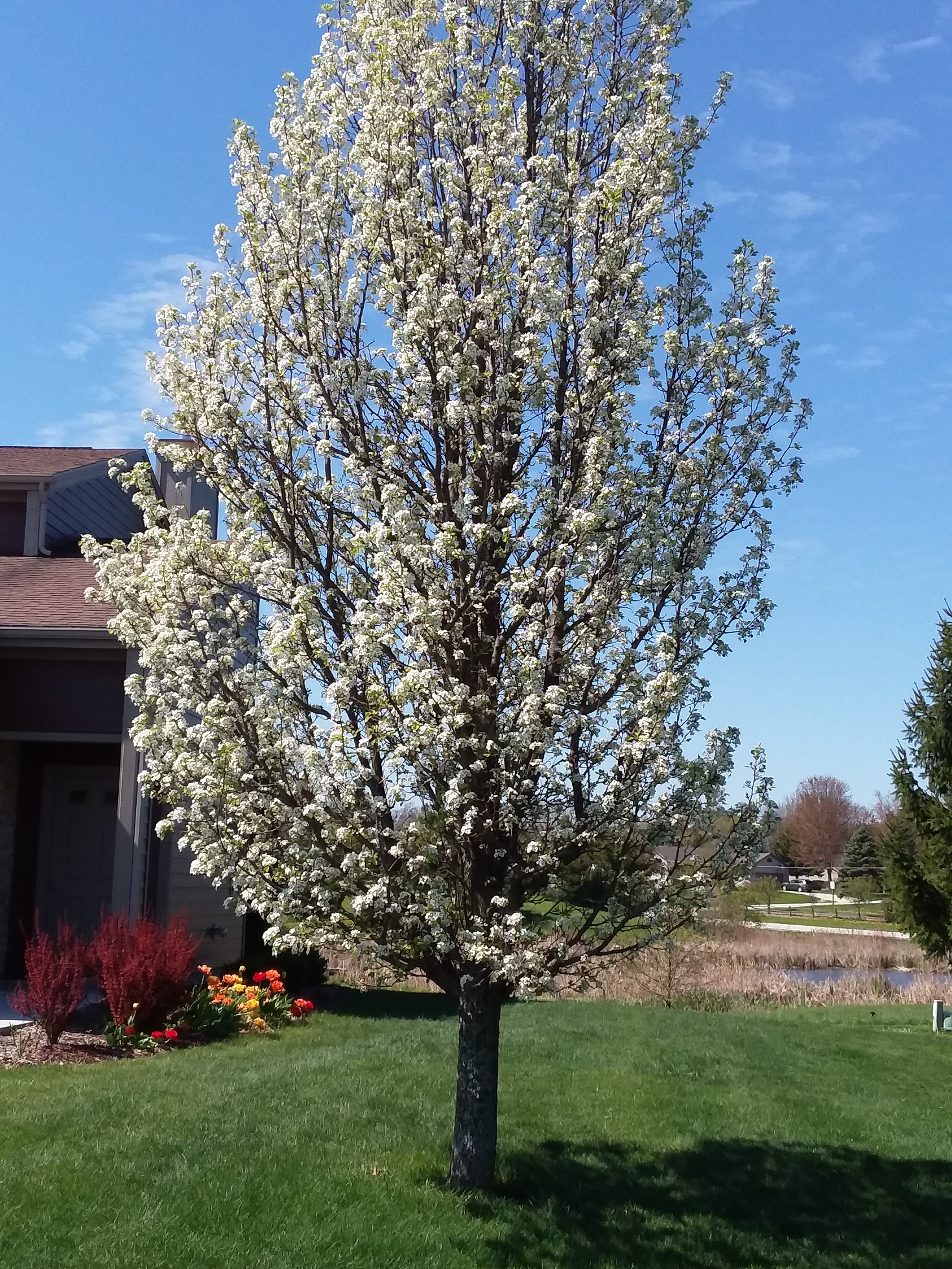 20200520_102409_4943