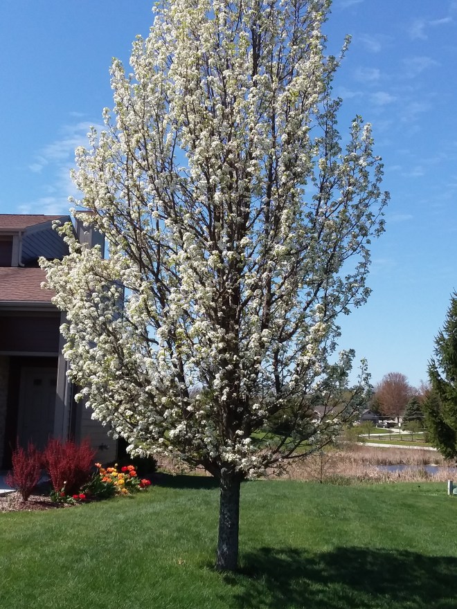 20200520_102409_4943