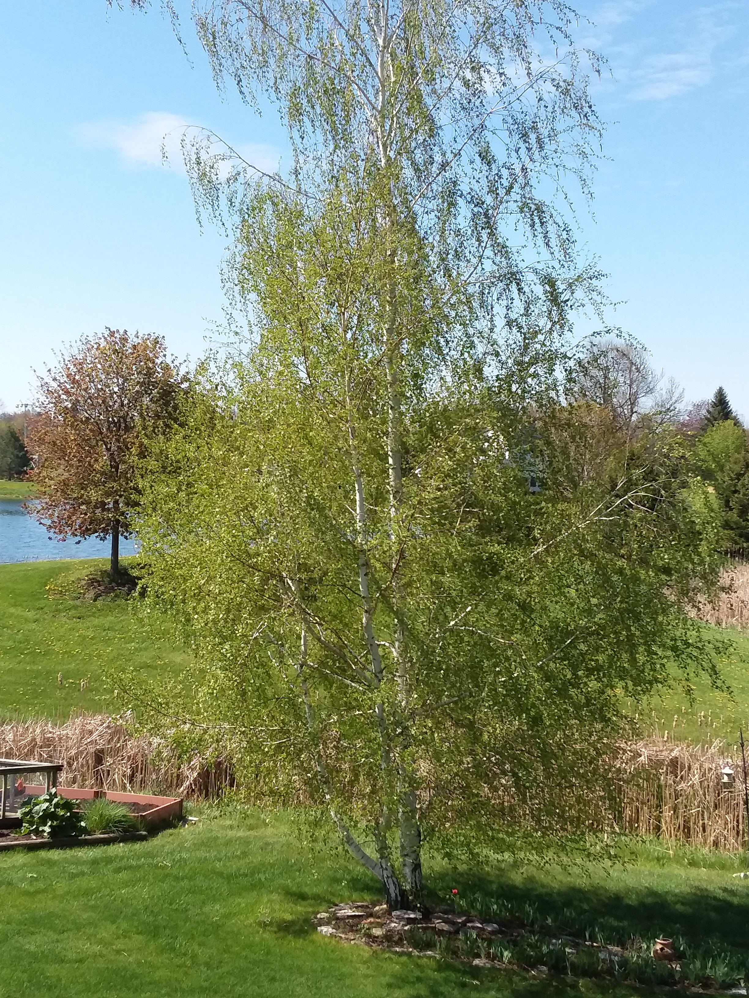 20200520_102536_4944