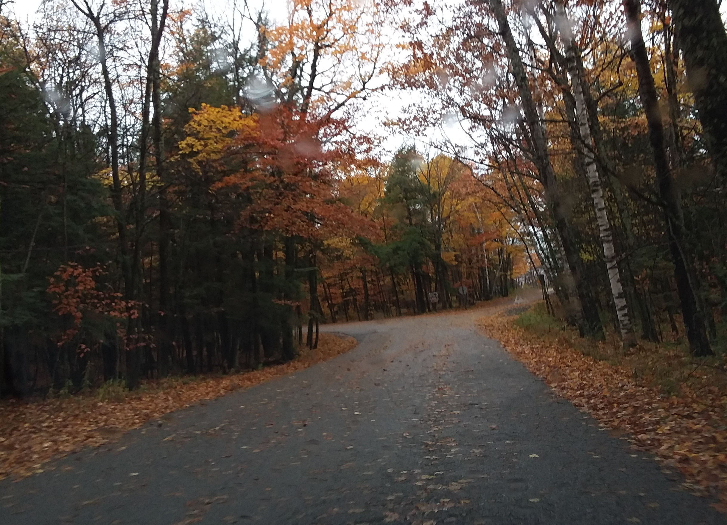 20201023_144350_5533_edited-1