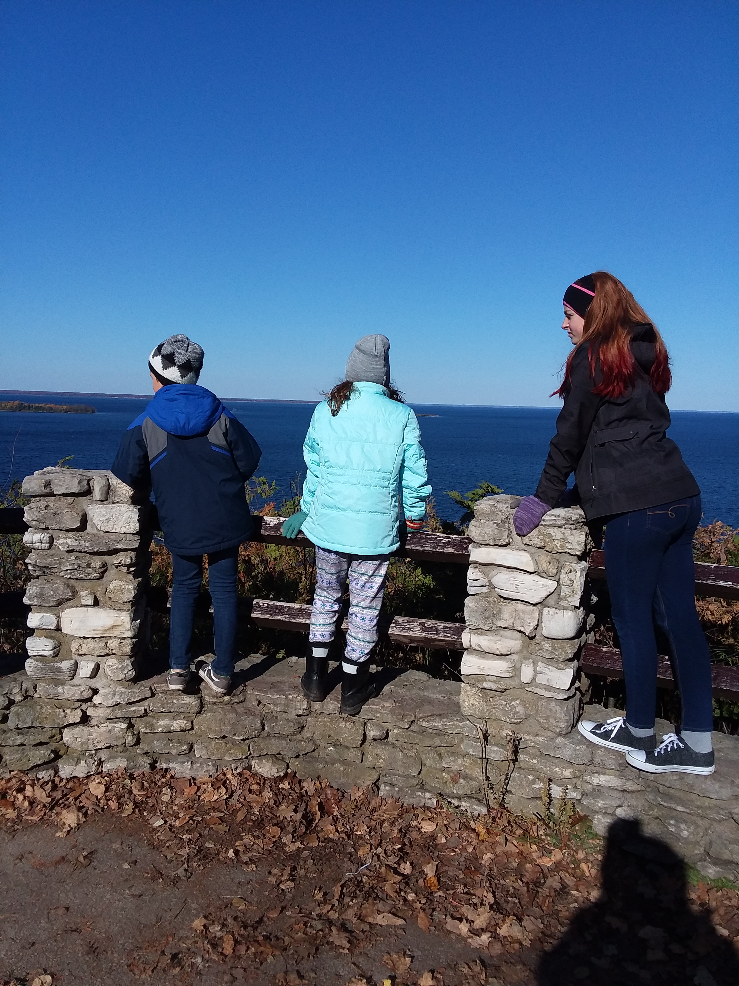 20201027_104634_5496