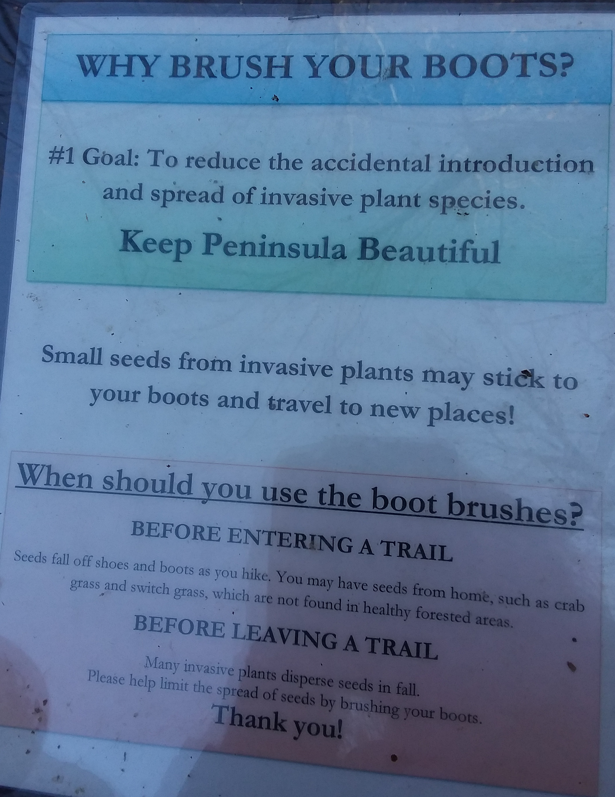 20201027_111549_5504_edited-1